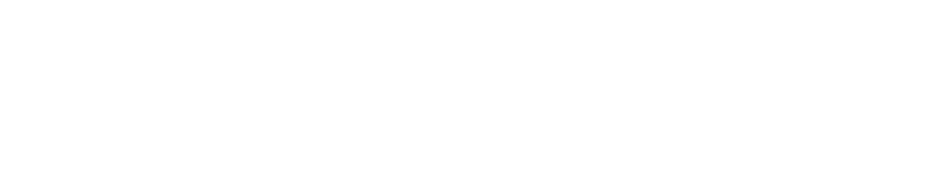 OZARK METALS - HORIZONTAL WHITE LOGO